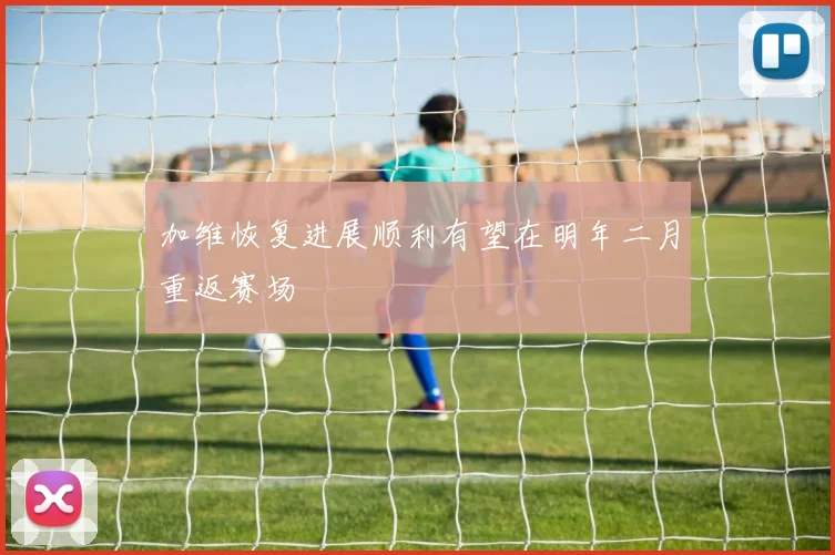 加维恢复进展顺利有望在明年二月重返赛场