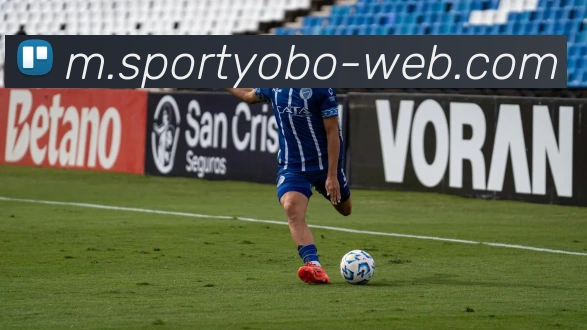 yobo体育平台生态图